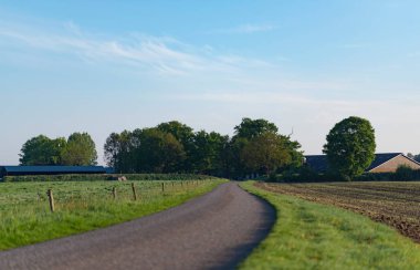 Bahar sırasında mavi gökyüzü ile kırsal manzara ülkede yol