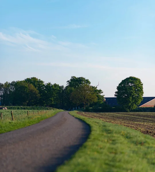 Country Road Rural Landscape Blue Sky Spring — Stock Photo, Image