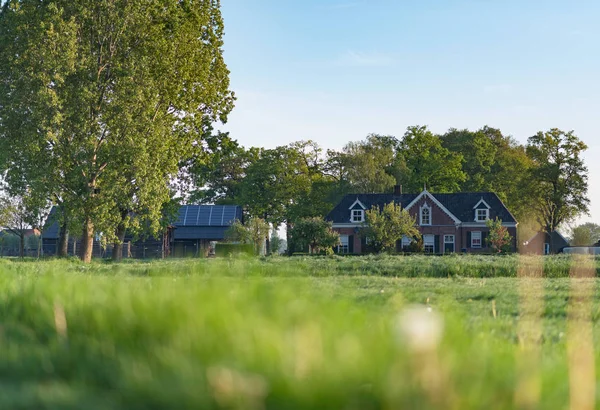 Pradera Con Árboles Granja Bajo Cielo Azul Durante Primavera — Foto de Stock