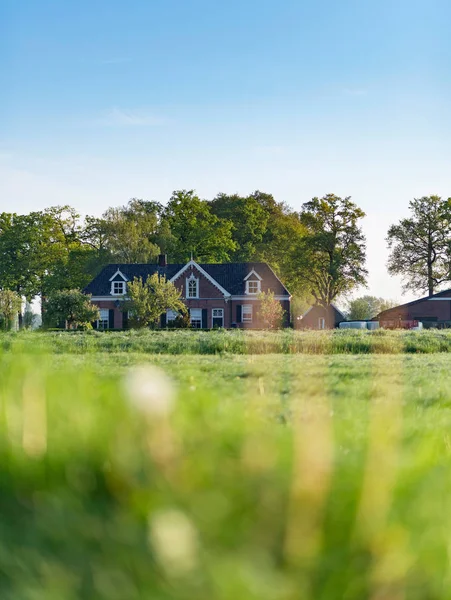 Wiese Mit Bäumen Und Bauernhaus Unter Blauem Himmel Frühling — Stockfoto