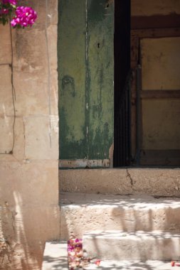 Pembe begonviller ile yarım açık kapı