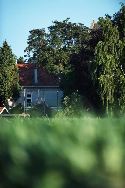 Großes Haus Sommerlicher Landschaft — Stockfoto