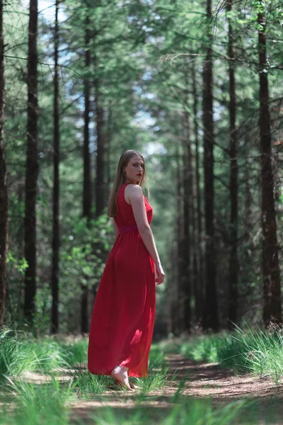 Блондинка Красном Платье Лесной Тропинке Оглядывается Через Плечо — стоковое фото