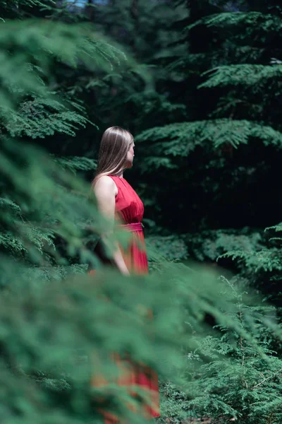 Mulher Loira Vestido Vermelho Entre Pinheiros — Fotografia de Stock