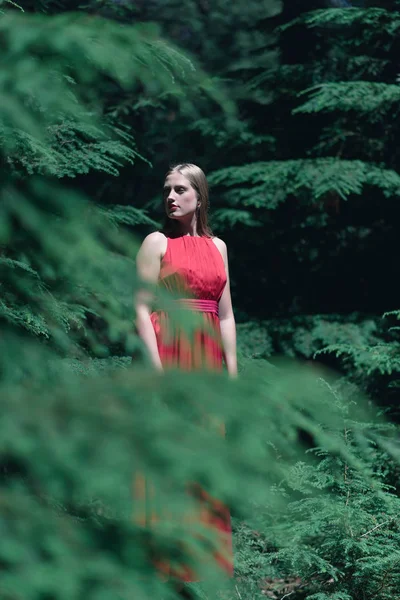 Mulher Loira Vestido Vermelho Entre Pinheiros — Fotografia de Stock