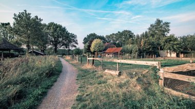 Toprak yol yaz sırasında kırsalında.