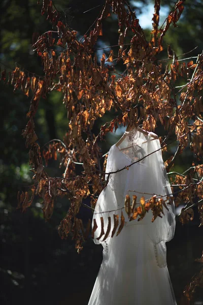 White Dress Hanging Autumn Tree — Stock Photo, Image