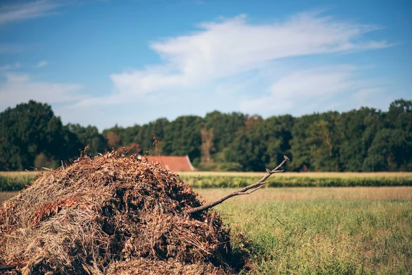 Napsütéses Nyári Napon Réten Trágyadomb — Stock Fotó