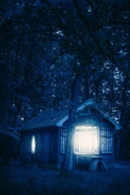 Geceleri ormanda kabin.