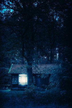 Geceleri ormanda kabin.