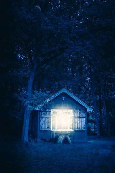 Cabin in forest at night.