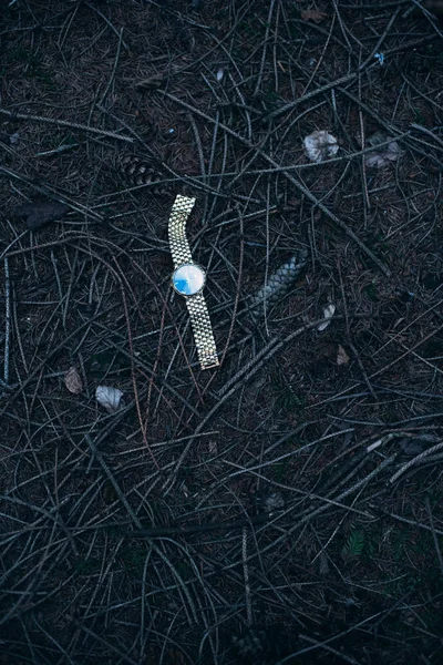 Έχασε Ρολόι Στο Δασικό Έδαφος — Φωτογραφία Αρχείου