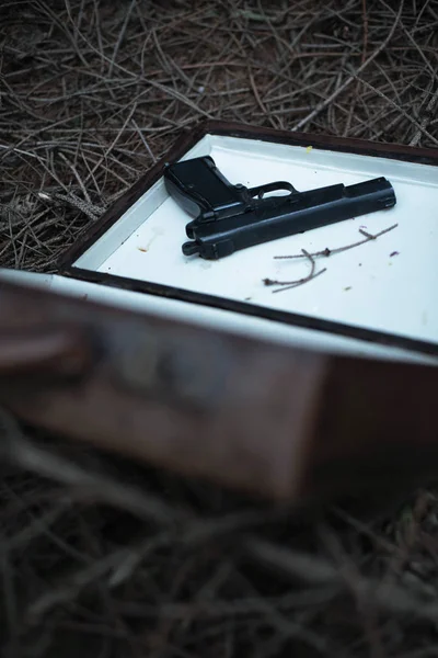 Pistola Negra Maletín Suelo Forestal —  Fotos de Stock