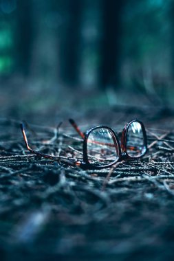 Lost glasses on ground of pine forest clipart