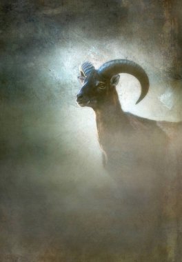 Mouflon ram in mist. Old master painting style. clipart