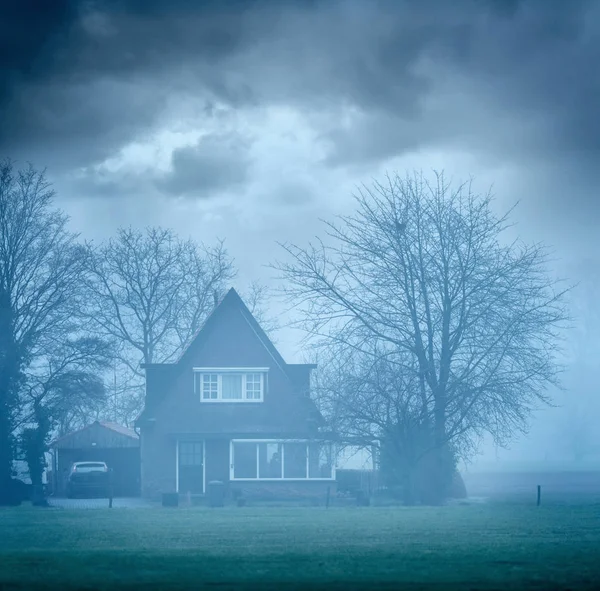 Casa con árboles de invierno en la niebla bajo el cielo nublado . — Foto de Stock