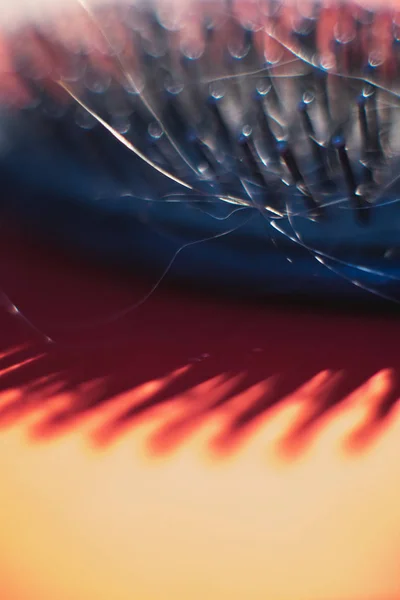 Close-up of black hairbrush with blonde hair on orange floor. — Stock Photo, Image
