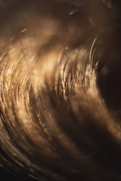 Macro shot of brown hair. — Stock Photo, Image