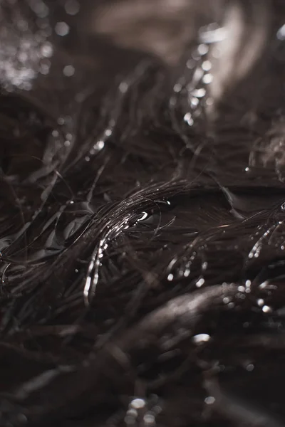 Détail des cheveux bouclés bruns couchés dans l'eau dans l'évier . — Photo