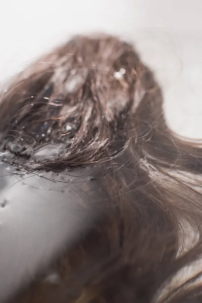 Detail of brown curly hair lying in water in sink.