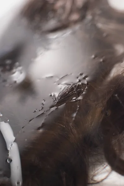 Lavaboda suda yatan kahverengi kıvırcık saçların detayı. — Stok fotoğraf