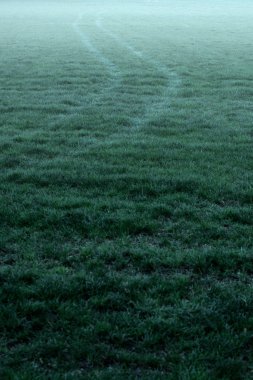 Lastik izleri puslu çayırda.