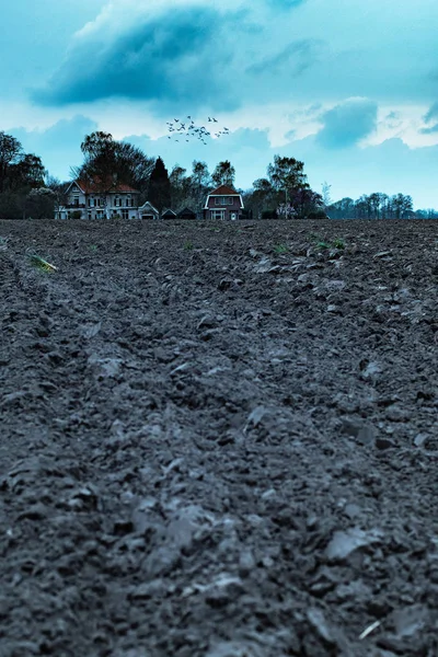 Hus på landet under mörk grumlig himmel med fåglar. — Stockfoto