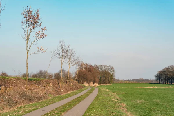 Paved pathway in sunny countryside in early spring. — Stock Photo, Image