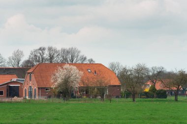 Erken ilkbaharda çiçek açan ağaç ile Farmhouse.