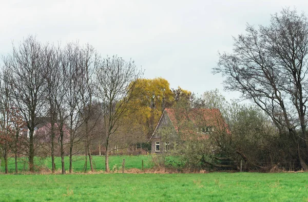 Hus på landsbygden i början av våren. — Stockfoto