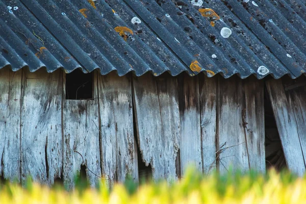 Old wooden barn in sunny corn field. — Stock Photo, Image