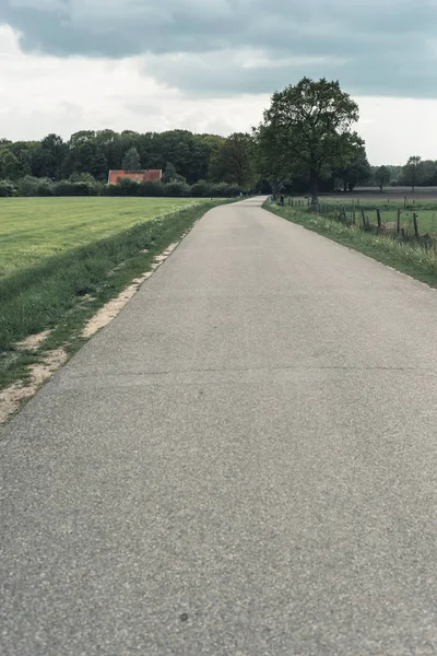 Weg onder bewolkte hemel in het lente landschap. — Stockfoto