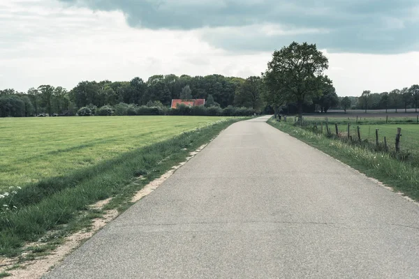 Weg onder bewolkte hemel in het lente landschap. — Stockfoto