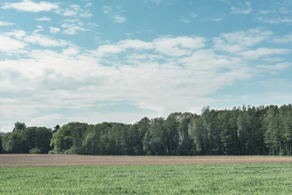 Wiese und Ackerland mit Wald unter blauem bewölkten Himmel. — Stockfoto