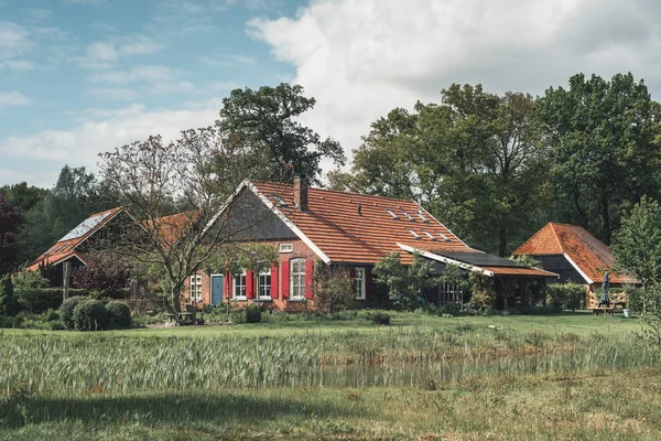 Голландський хутір з луною і деревами навесні. — стокове фото