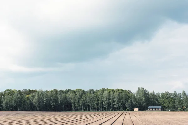 Bulutlu gökyüzü altında ağaçlar ve ahır ile Çıplak tarım arazisi. — Stok fotoğraf