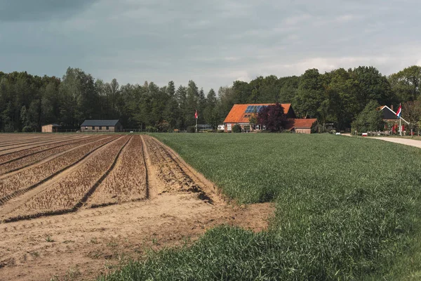 Paisagem rural com terras agrícolas e casa na primavera . — Fotografia de Stock