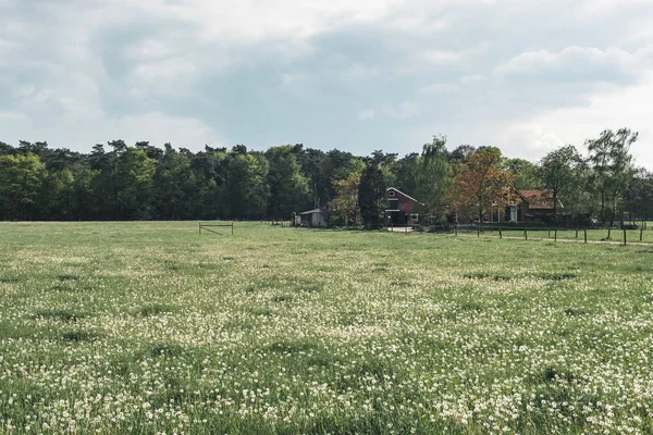 Prato con fienile e casa in campagna sotto cielo nuvoloso . — Foto Stock