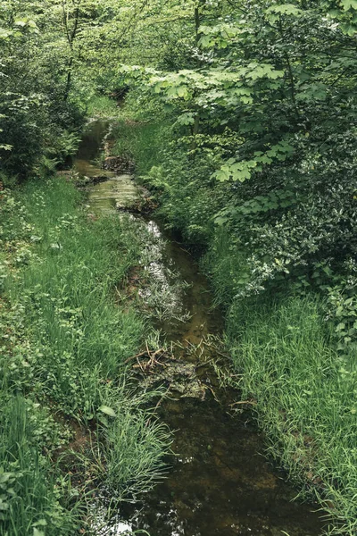 Little stream in forest in spring.