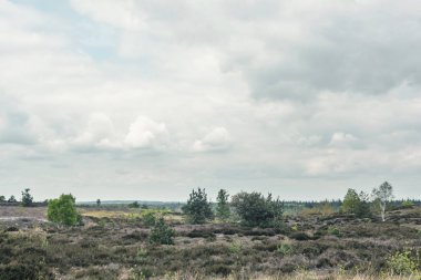 Bulutlu gökyüzü altında ilkbaharda tepelik fundalık manzara üzerinde görünümü.