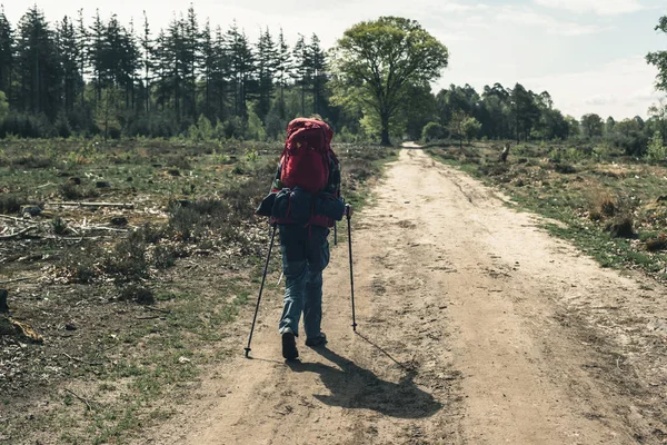 Jovem na mochila vermelha andando na estrada de terra no dia ensolarado . — Fotografia de Stock