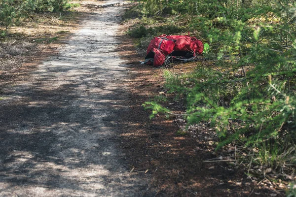 Sac à dos rouge se trouve sur le sentier dans la forêt ensoleillée . — Photo