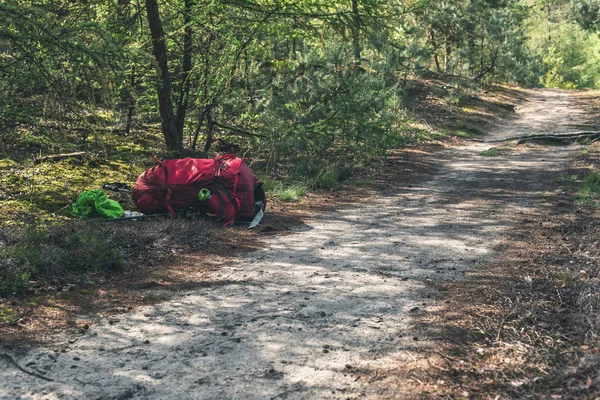 Mochila roja se encuentra en el sendero en el bosque soleado . —  Fotos de Stock