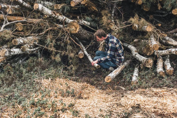 Jovem serrar tronco de bétula em pilha de madeira . — Fotografia de Stock