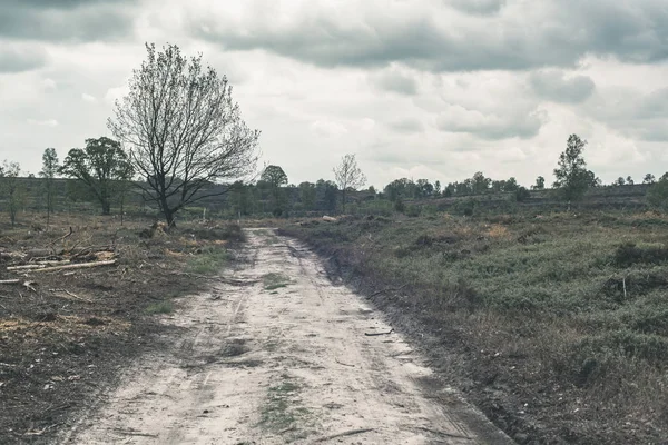 Dirt road in wild landscape under cloudy sky. — Stock Photo, Image