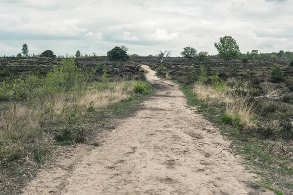 Onverharde weg in heuvelachtig heidelandschap onder bewolkte hemel. — Stockfoto