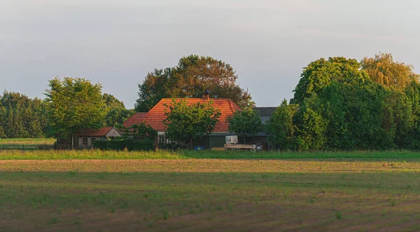 Agriturismo Con Alberi Alla Luce Del Sole Serale Primavera — Foto Stock