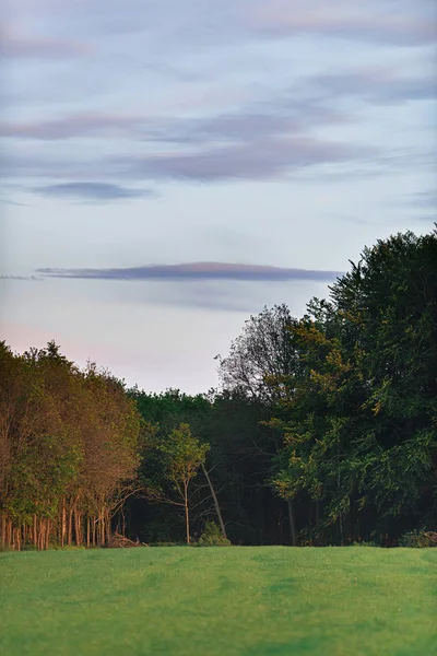 春天傍晚阳光下有森林边缘的农田 — 图库照片