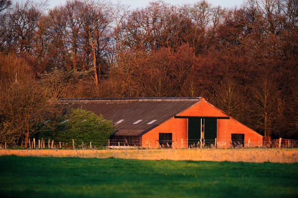 Barn in countryside in evening sunlight. — Stock Photo, Image