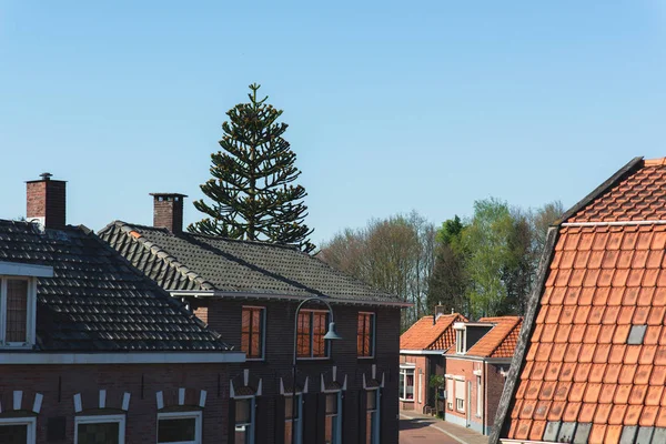 Ulica z domami pod błękitnym niebem w holenderskiej wsi. — Zdjęcie stockowe